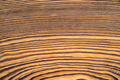 Brown wooden annual rings background or texture. - PhotoDune Item for Sale