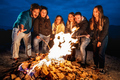 Young people having fun together at night party around bonfire - PhotoDune Item for Sale