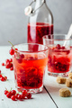 Infused water with red currant and sugar - PhotoDune Item for Sale