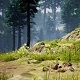 Forest Ambience
