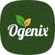 Ogenix - Organic Food Store PSD Template - ThemeForest Item for Sale