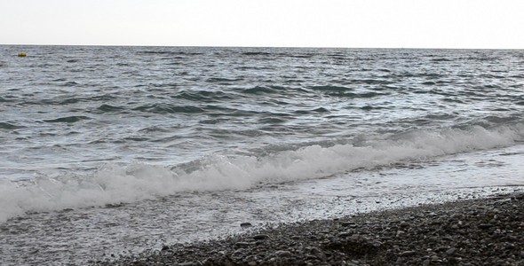 Sea Beach