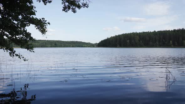 Lake Landscape In Autumn