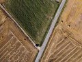 Aerial top view of country roads through agricultural fields during summer - PhotoDune Item for Sale