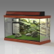 Aquarium - 3DOcean Item for Sale