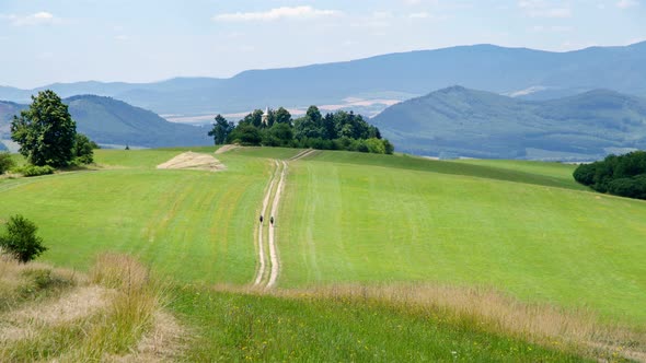 Tourists Walking Down the Country Road in Green Nature Landscape