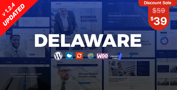 Delaware - Consulting and Finance WordPress Theme
