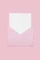 Blank empty white paper card in pink opened envelope isolated on pink background - PhotoDune Item for Sale