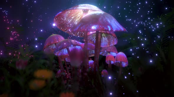 3D Psychedelic Magic Mushrooms Trippy Video For Your Background. A Fairy Magical Forest. Vj Loop 4K