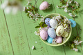 Branches of a blooming apple tree, handmade Easter colorful eggs on a pastel rustic wooden table. - PhotoDune Item for Sale