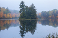 Calm lake and fog in northern Minnesota with trees in autumn color and pines on a small island - PhotoDune Item for Sale