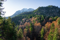 Sauling Mountain peak at Ammergau Alps with beautiful vegetation - Schwangau, Bavaria, Germany - PhotoDune Item for Sale