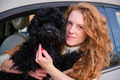 Young woman driver with black puppy poodle dog sitting in car. - PhotoDune Item for Sale