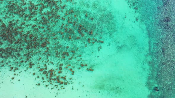 Coral bleaching and global warming. Aerial. Abstract texture of turquoise clear seawater with partia