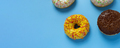 Donuts banner - PhotoDune Item for Sale