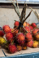 Close-up of Fresh rambutan fruit sold at the market in daylight - PhotoDune Item for Sale