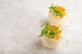 Yogurt with passionfruit and marigold microgreen in glass on gray. Side view, copy space. - PhotoDune Item for Sale
