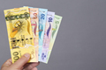 Fijian money in the hand on a gray background - PhotoDune Item for Sale