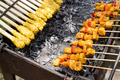 Balinese sate lilit (Minced chicken Satay) and tempeh sate skewers on the grill - PhotoDune Item for Sale