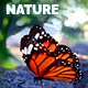 Nature Logo Reveal - VideoHive Item for Sale