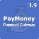 PayMoney - Secure Online Payment Gateway - CodeCanyon Item for Sale