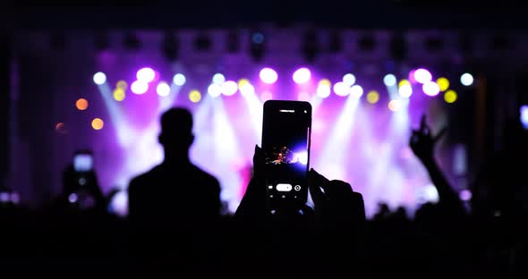 Concert Crowd