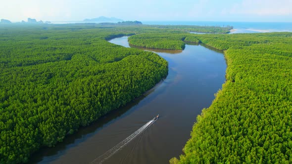 Top view of winding river in tropical mangrove green tree forest in khao jom pa