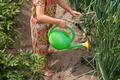 The child is watering onions grown in kitchen garden. - PhotoDune Item for Sale