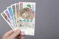 Polish Zloty in the hand on a gray background - PhotoDune Item for Sale