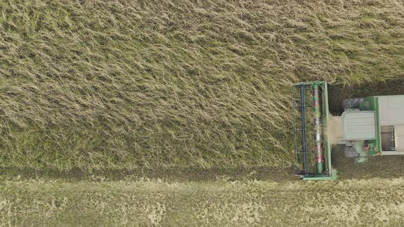 Harvester Machine Collecting Crops from the Barley Field.