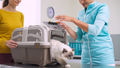 Cat in a pet carrier at the veterinary clinic - PhotoDune Item for Sale