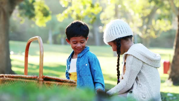 Boy and girl sitting on grass with picnic basket