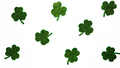 Happy St. Patrick's Day banner.Holiday background.St Patricks Day frame against a white background.  - PhotoDune Item for Sale