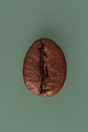 Macro photography of brown coffee bean on green background - PhotoDune Item for Sale