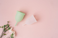 Top view green and white menstrual cup on pink background next to dry plants - PhotoDune Item for Sale