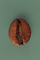 Macro photography of roasted coffee bean on green background - PhotoDune Item for Sale