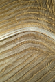 Aerial shot of a straw field left to dry - PhotoDune Item for Sale