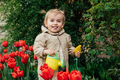 Spring Gardening. Cute toddler little girl in raincoat watering red tulips flowers in the spring - PhotoDune Item for Sale