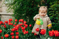 Spring Gardening Activities for Kids. Cute toddler little girl in raincoat watering red tulips - PhotoDune Item for Sale