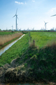 Rural landscape with agricultural fields and wind turbine. - PhotoDune Item for Sale