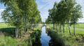 Beautiful rural landscape. Moat with water and birch trees separate the fields. - PhotoDune Item for Sale