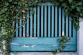 Old wooden fence with peeling blue paint and green plants growing on it - PhotoDune Item for Sale