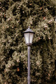 Old lamppost in the street of a town. - PhotoDune Item for Sale