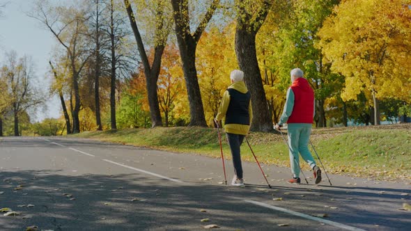 Aged Women Doing Nordic Walking in Sunny Yellow Fall Park Rear View