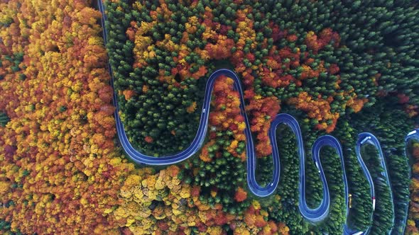 Snake Road Through Autumn Forest