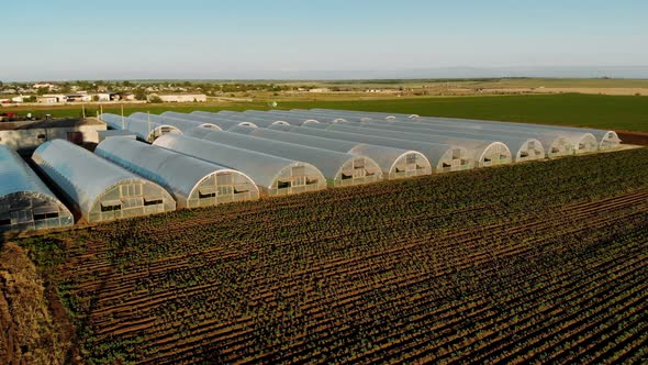 Aerial Drone View of Fields of Greenhouses on a Sunset with Clear Blue Skies