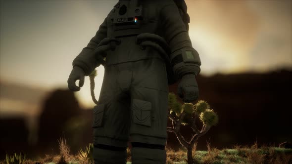 Astronauth in the High Desert of Nevada alt