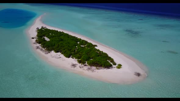 Aerial view abstract of tranquil shore beach wildlife by transparent ocean and clean sand background