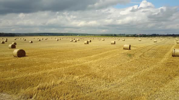 Field With Straw Bale