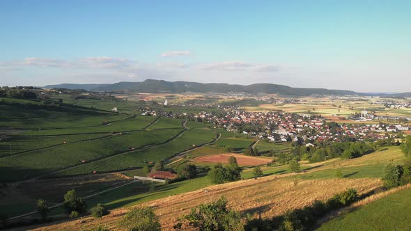 Vineyards from bird's eye view